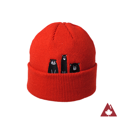 Bear's Den Kids Toque